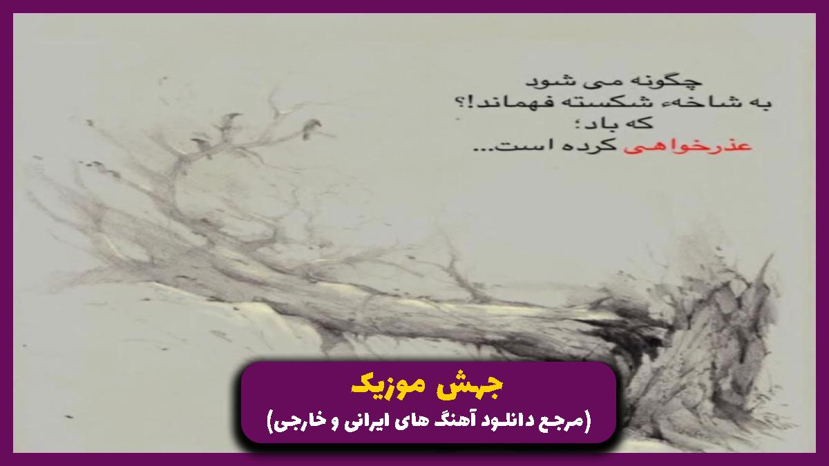 عکس آهنگ من که داشتم همه چیو درست میکردم از رضا پیشرو